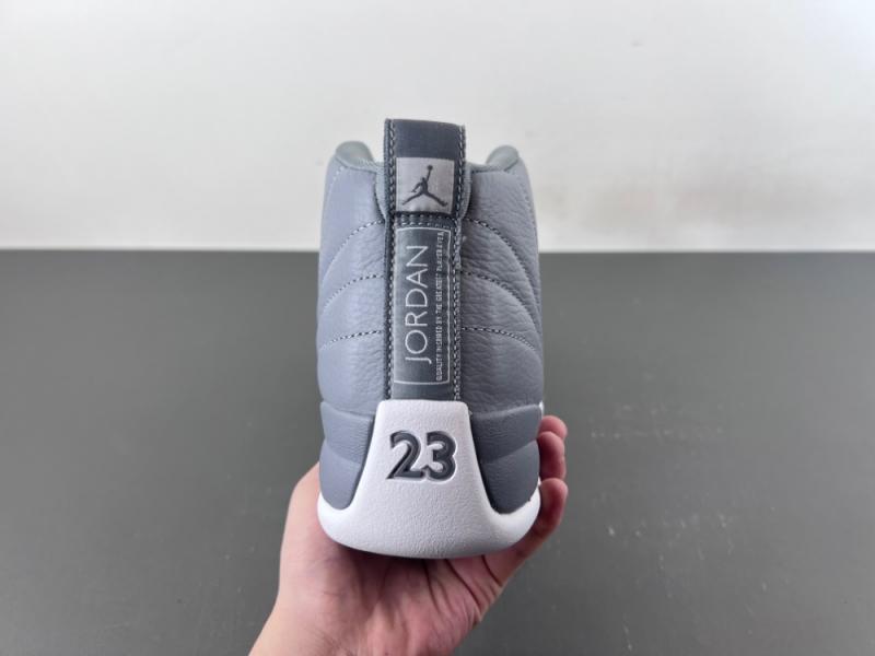 Air Jordan 12 STEALTH