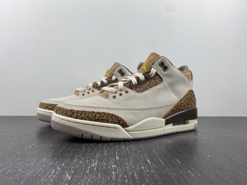 Air Jordan 3 “Palomino”