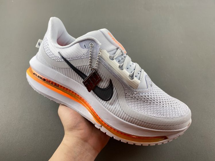 Pegasus Premium