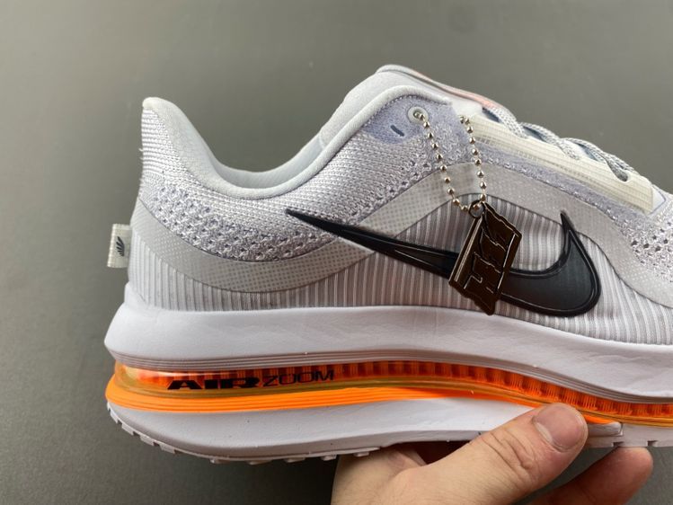 Pegasus Premium