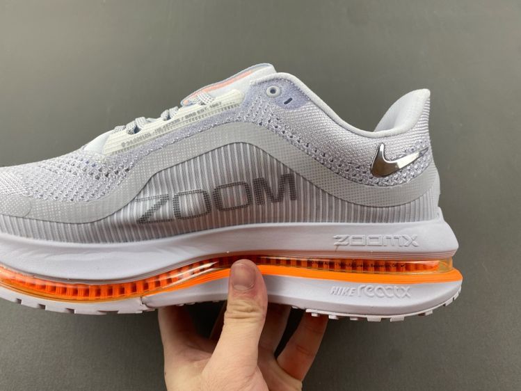 Pegasus Premium