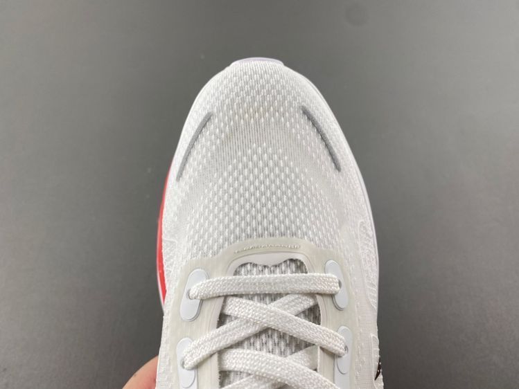NIKE Pegasus Premium
