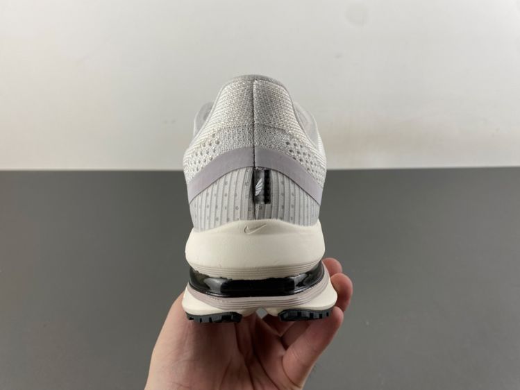 Nike Pegasus Premium Run