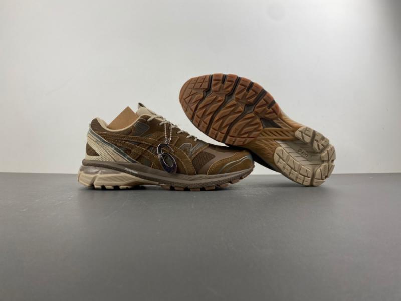 ASICS Gel Terrain GORE-TEX 'Brown'