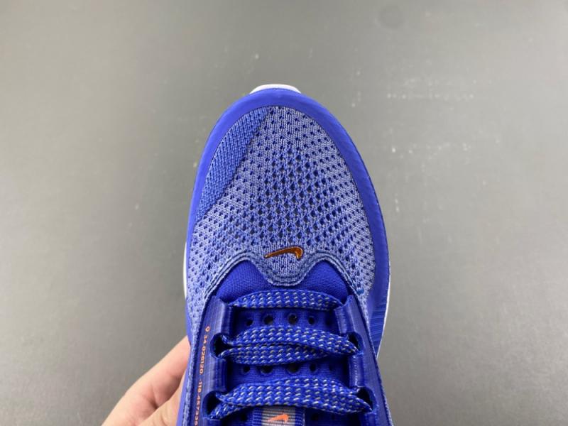 Pegasus Premium飞马 ZoomX