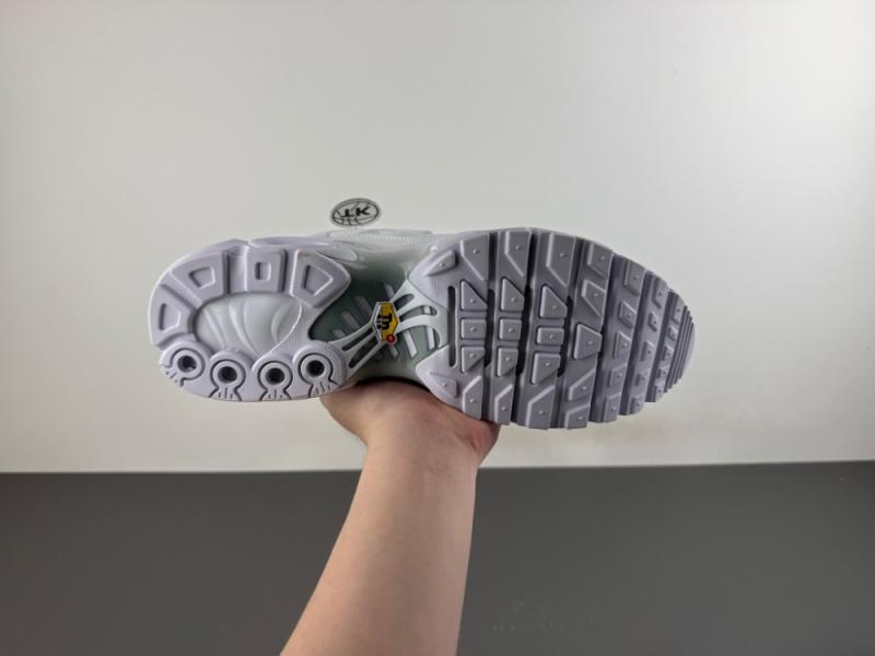WMNS Air Max Plus“