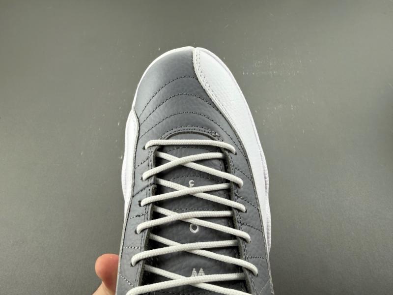 Air Jordan 12 STEALTH