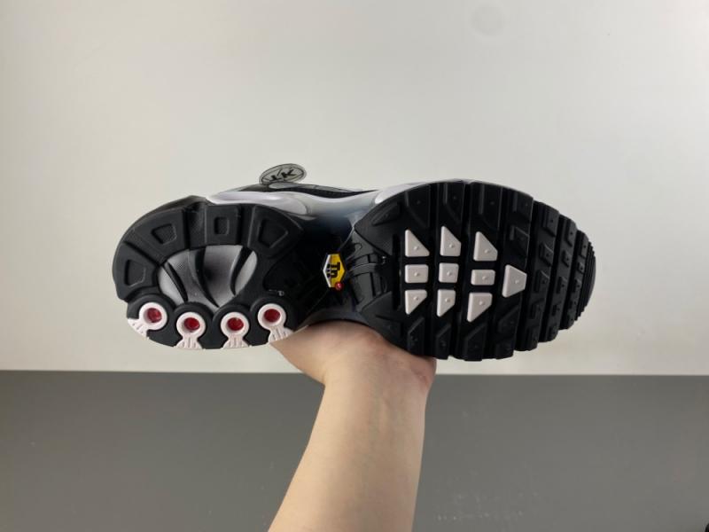 Air Max Plus TN