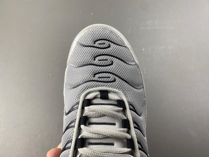 Nike Air Max Plus TN 'Wolf Grey TN
