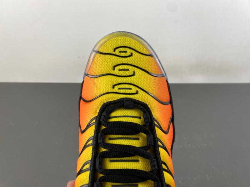 Air Max Plus“