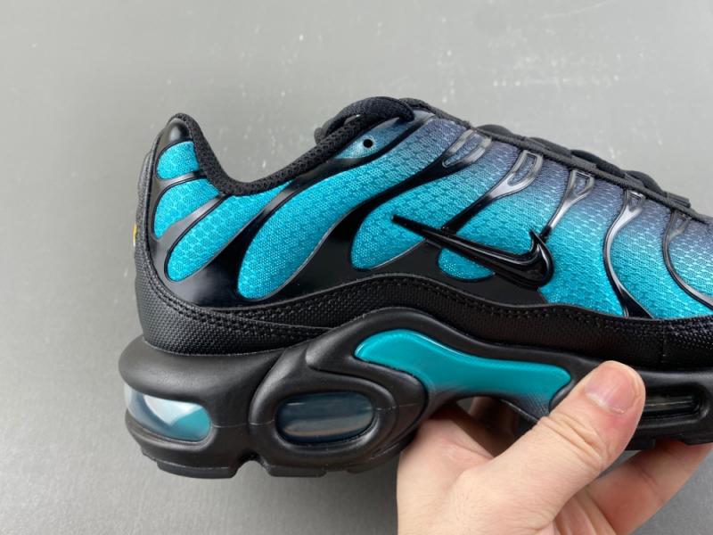 Nike Air Max Plus 'Black Dusty Cactus'