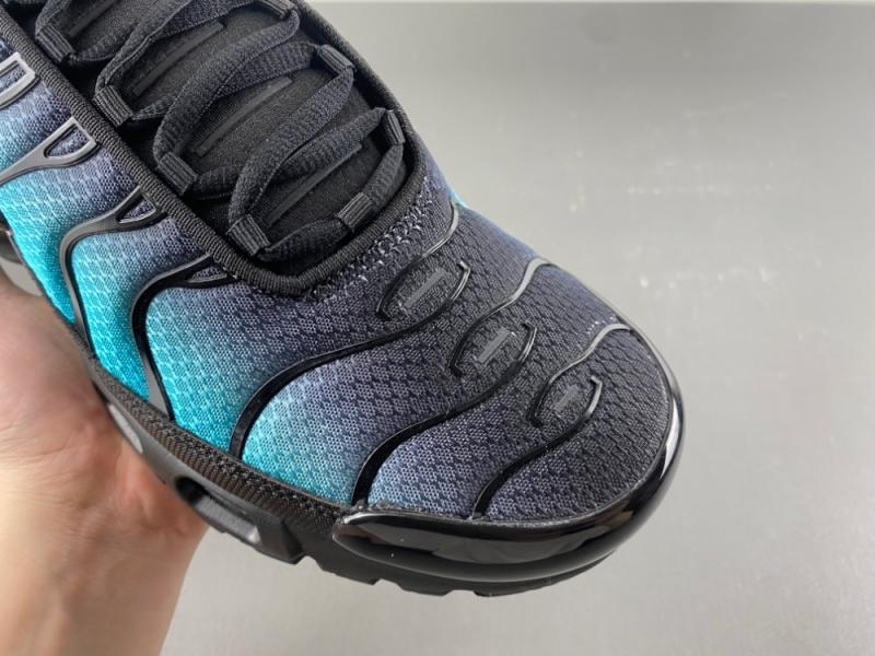 Nike Air Max Plus 'Black Dusty Cactus'