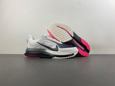 NikeNike Pegasus Premium