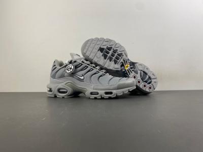 Nike Air Max Plus TN 'Wolf Grey TN